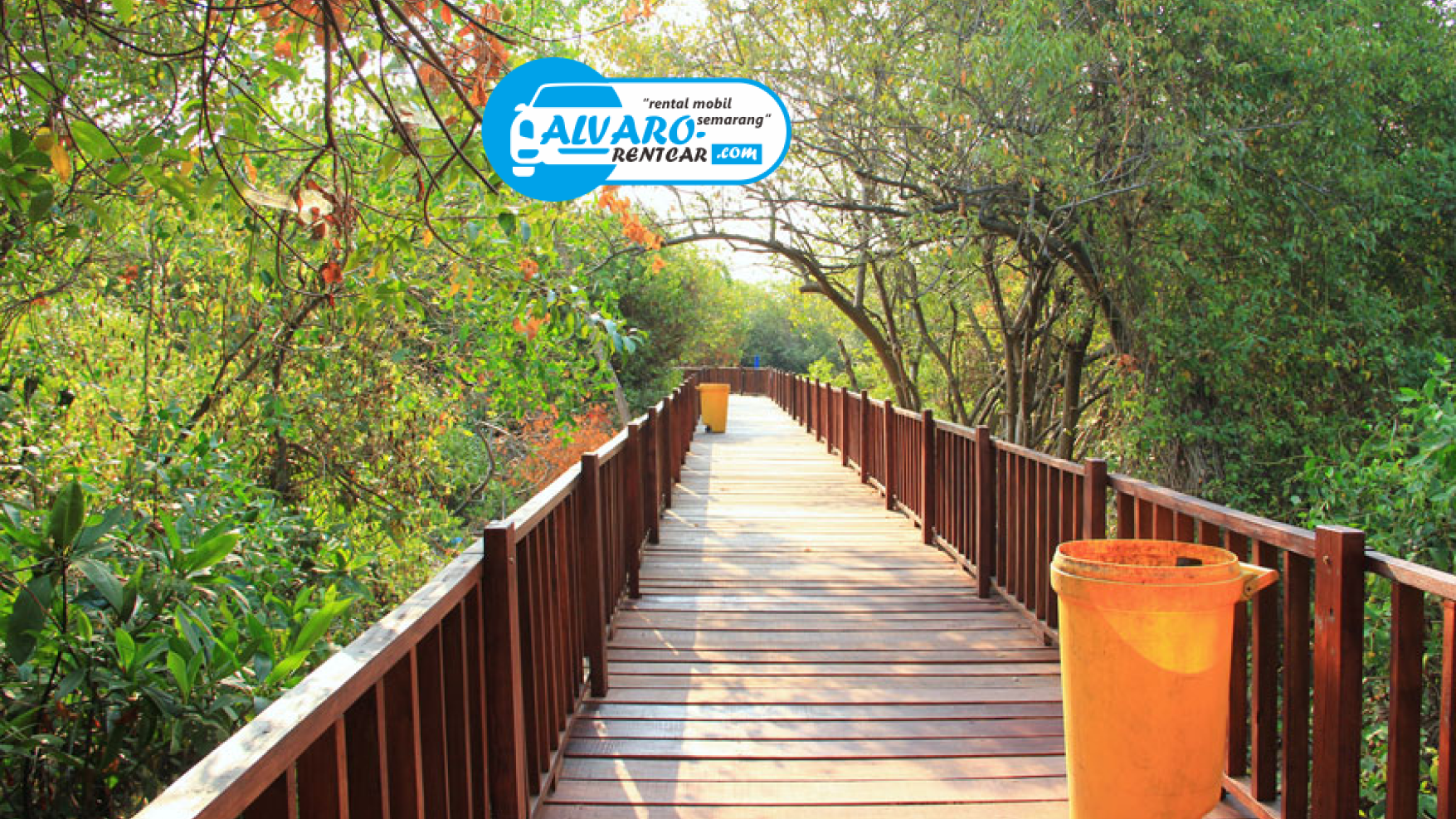 hutan mangrove wonorejo